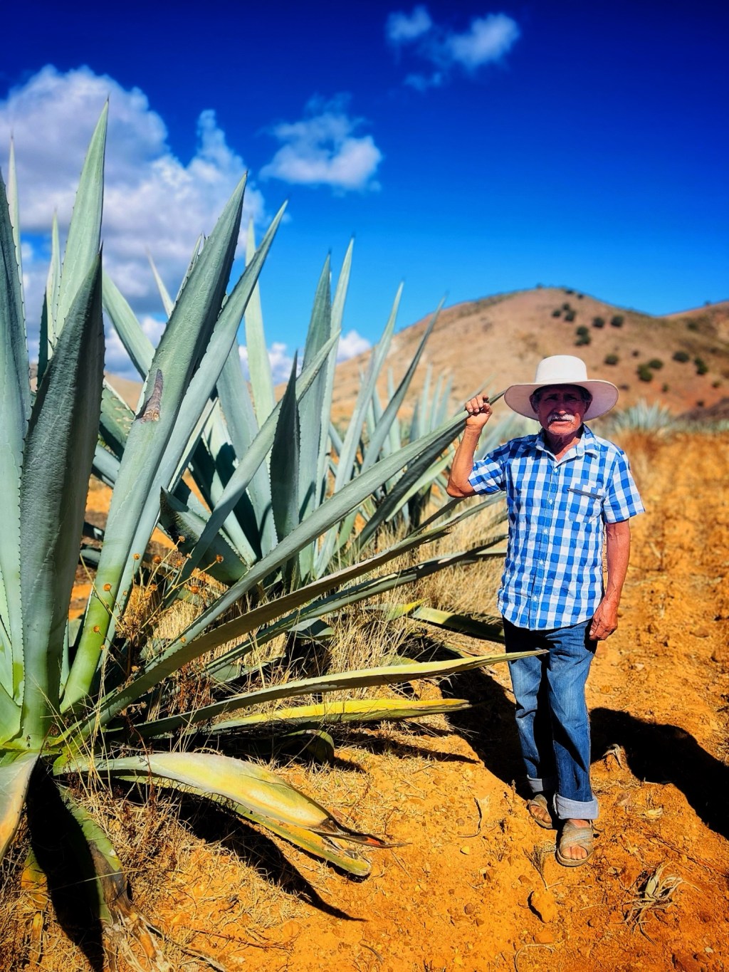 Mezcal, Markets, and Mole: Discovering the Soul of Oaxaca in 3&nbsp;Days